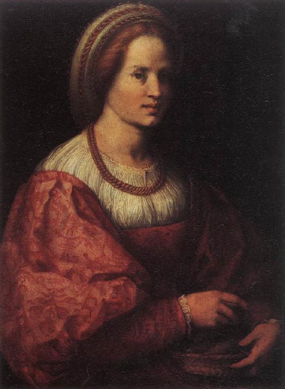 Andrea del Sarto Portrait of a Woman with a Basket of Spindles Sweden oil painting art